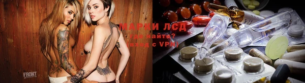 кокс Арсеньев