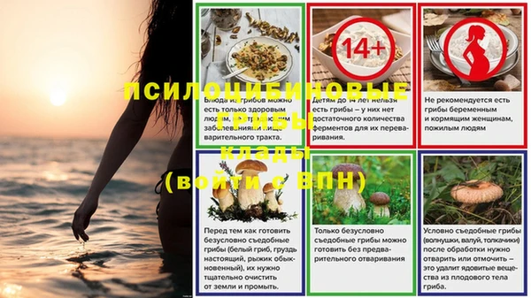 кокс Арсеньев