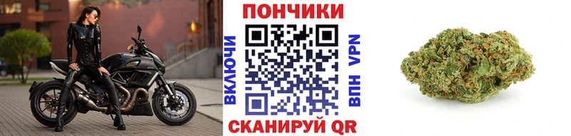площадка официальный сайт  дарнет шоп  ссылка на мегу как зайти  Майский  Канабис семена 